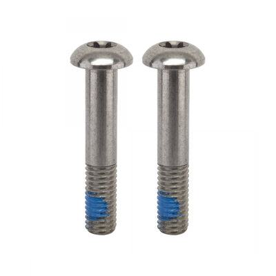 Disc Adapter Screws