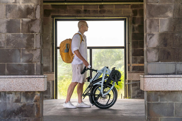 Tern Vektron P10 (Gen 4) Folding E-Bike