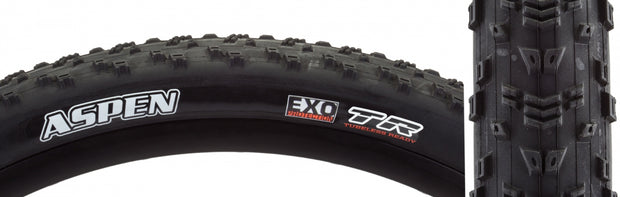 Aspen DC/EXO/TR 29x2.4 BK FOLD/120 DC/EXO/TR