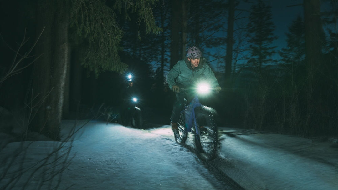Beargrease C Cues 11 Fat Tire Bike - Sage Green