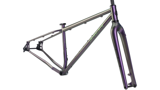 Salsa Fargo Apex 1x11 Bike